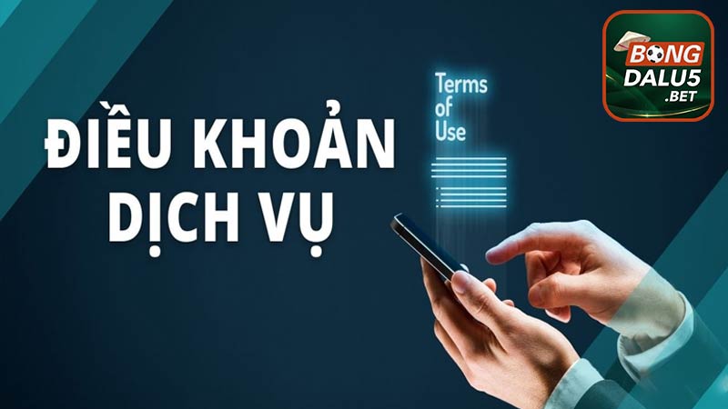 Điều khoản chung