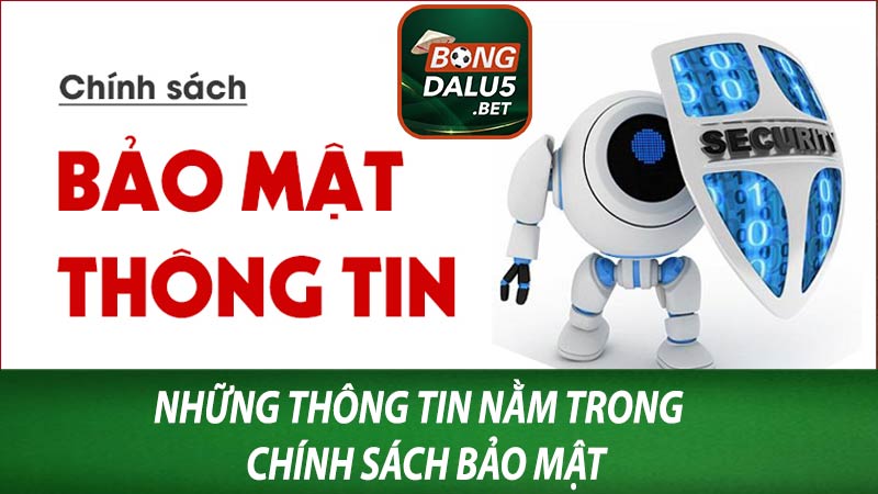 Những thông tin nằm trong chính sách bảo mật bongdalu